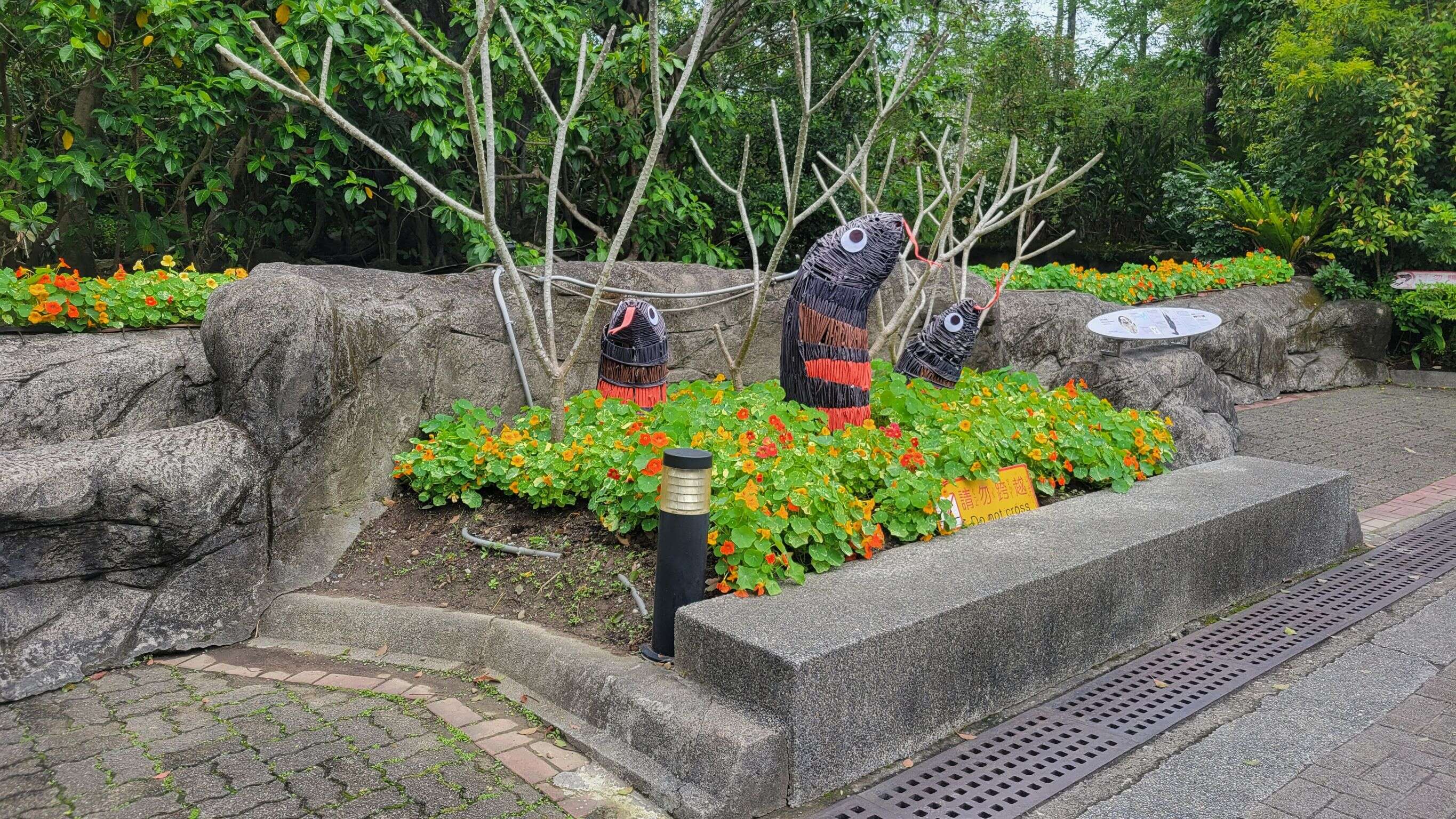 台北市立动物园赤腹游蛇装置（资料来源：台北市立动物园提供）