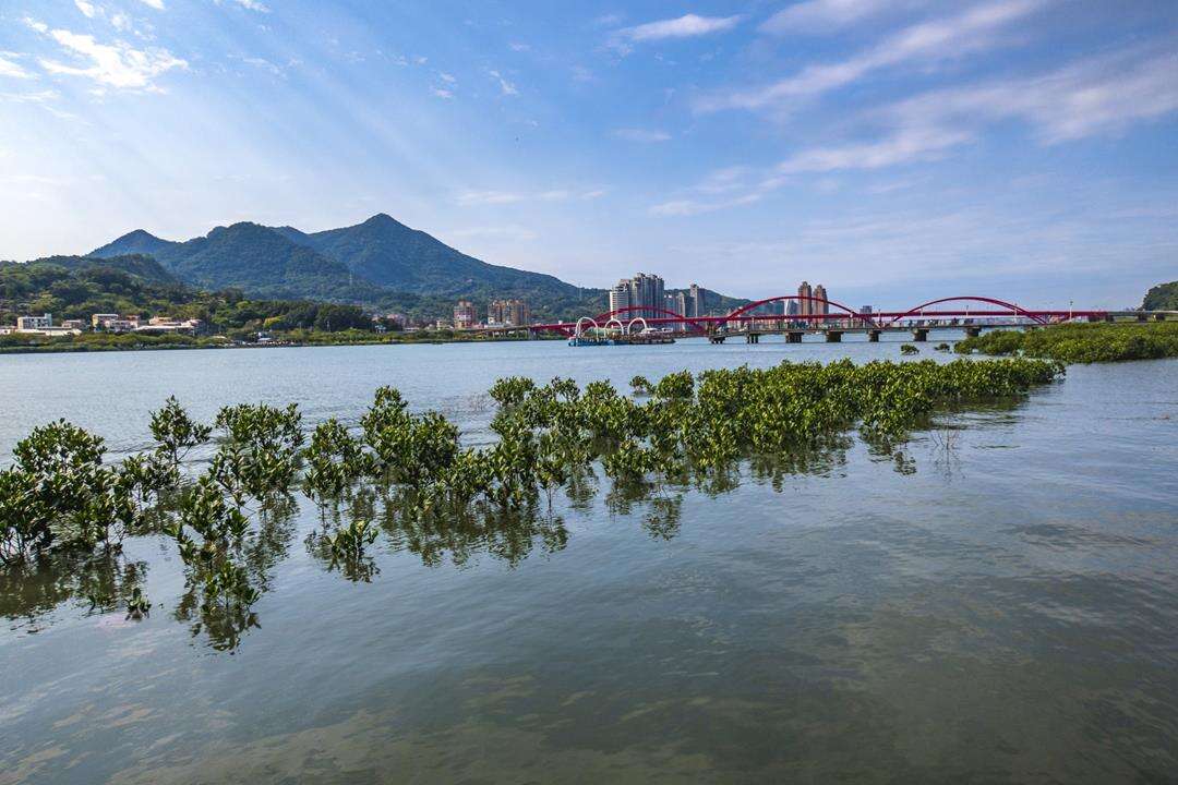 The Essence of a City Embraced by Nature