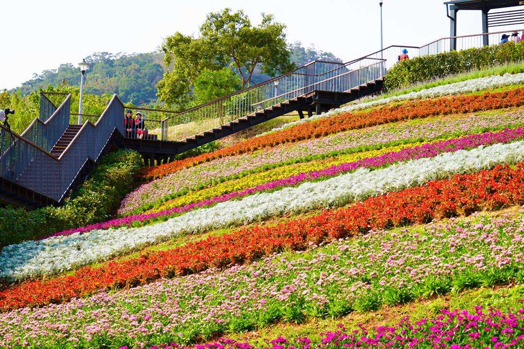 Flowers in Taipei