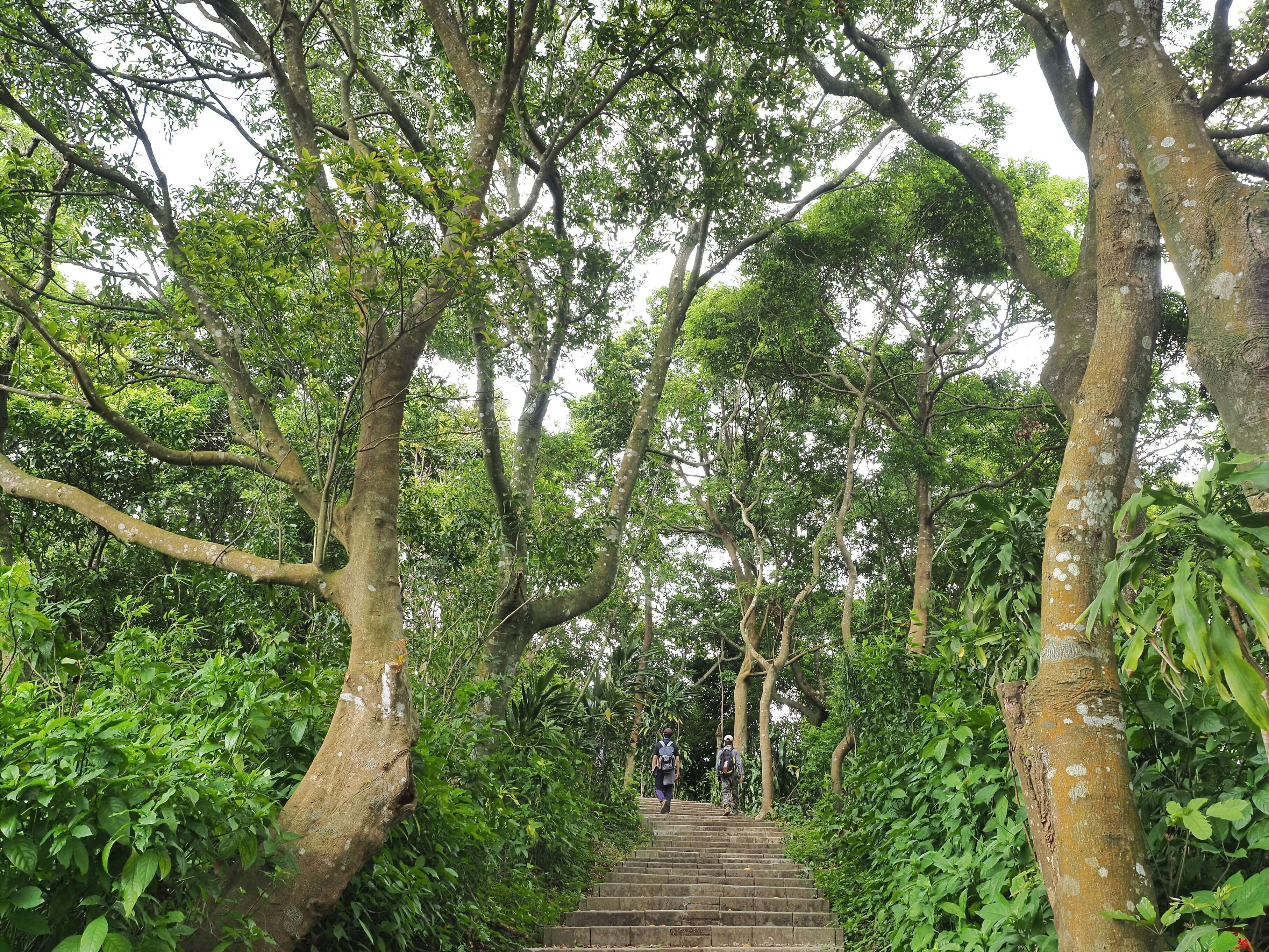 圆山风景区剑潭山亲山步道(图片来源：台北市政府工务局大地工程处)