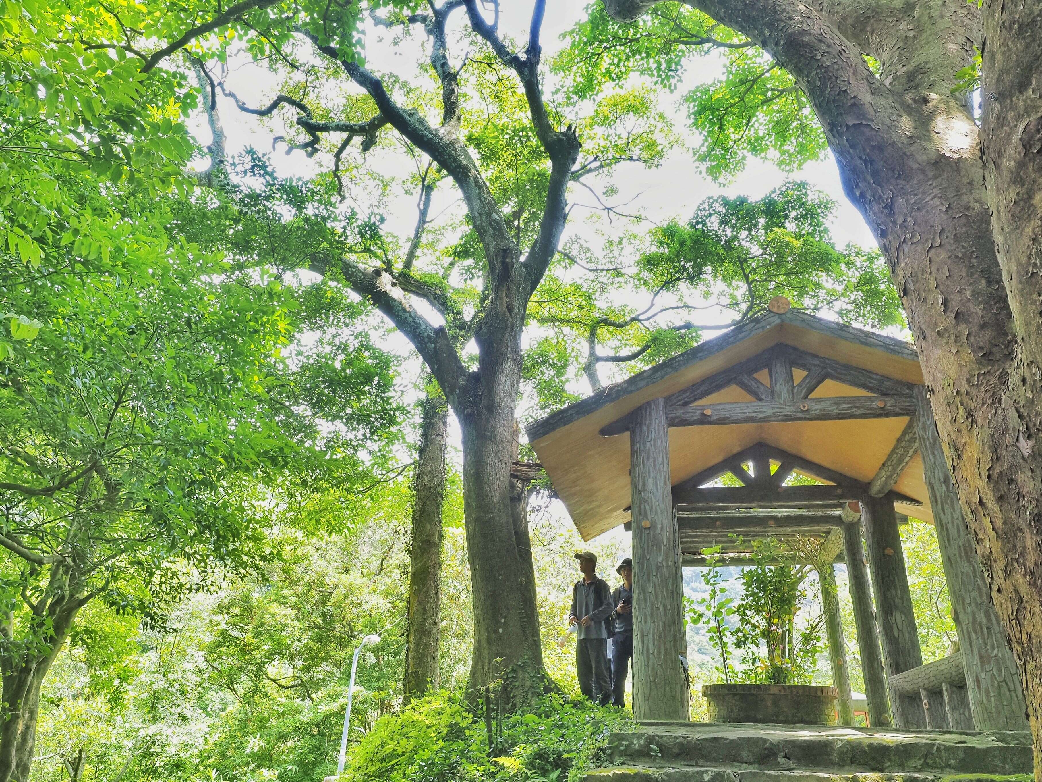 香楠 贵子坑亲山步道(图片来源：台北市政府工务局大地工程处)