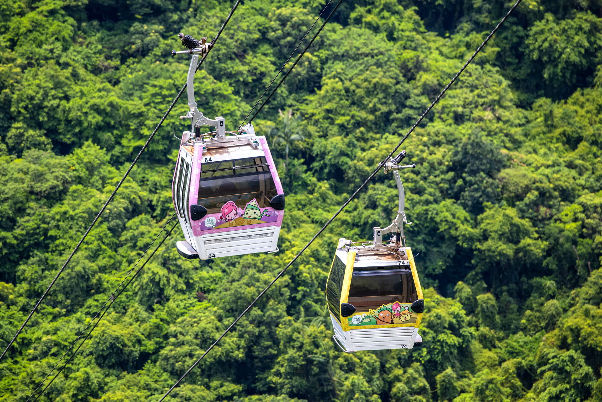 貓空纜車(照片由臺北市政府觀光傳播局提供)