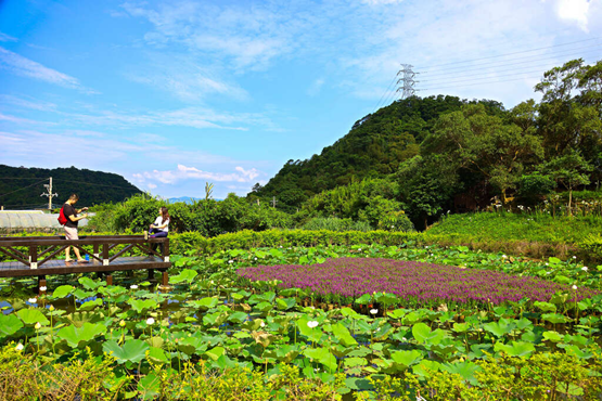 白石湖同心池
