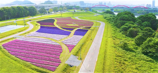 古亭河濱公園