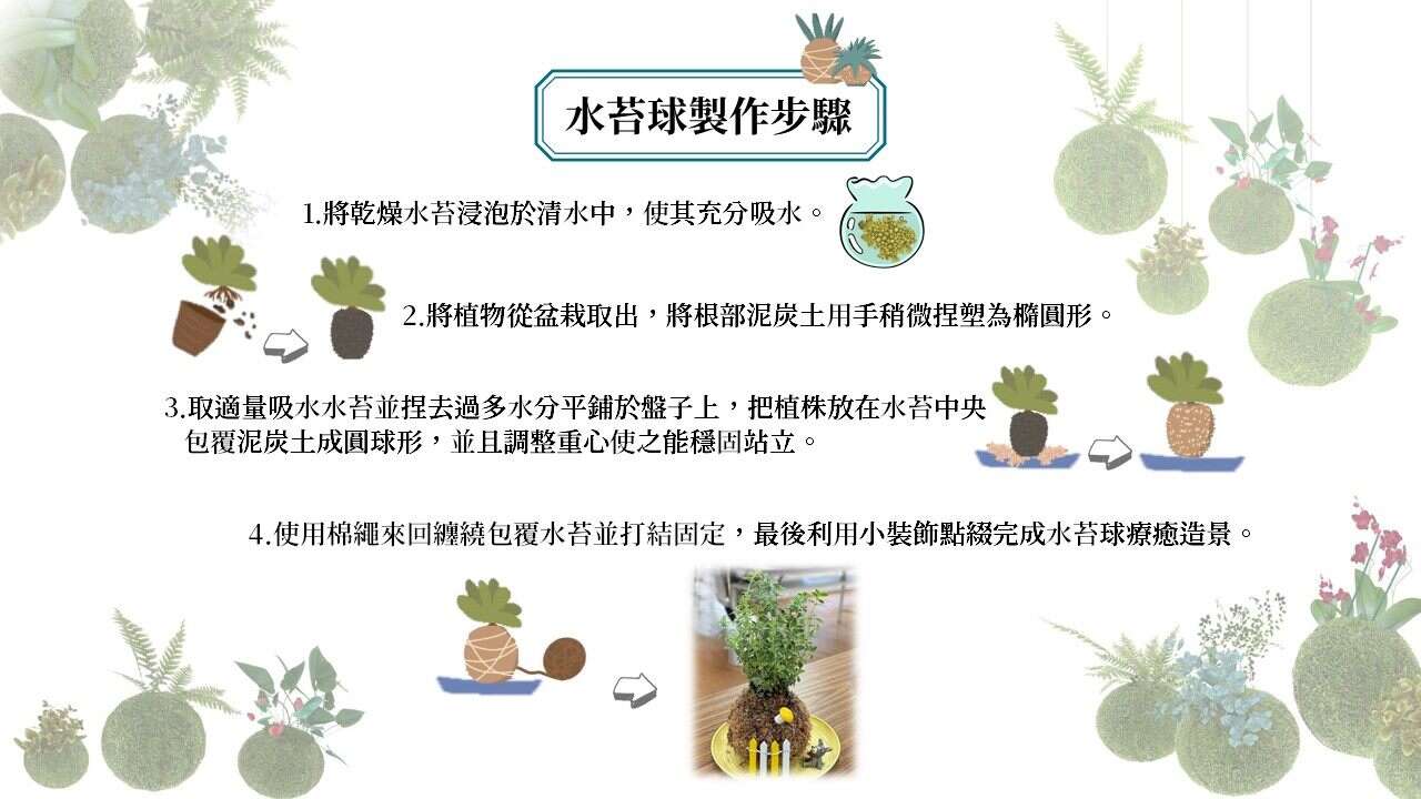 水苔球製作步驟。