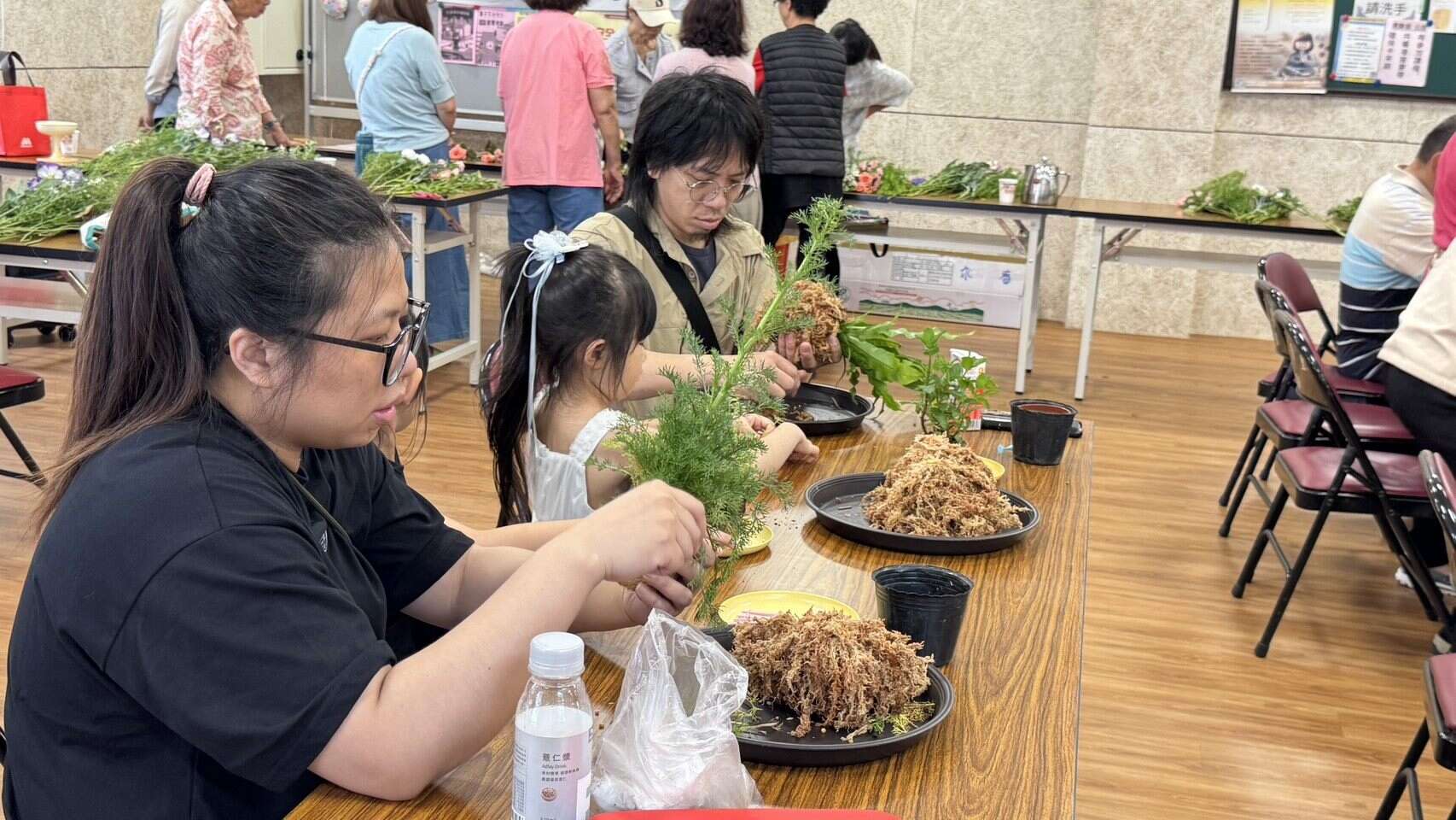 水苔球製作簡單且安全，非常適合親子合作製作。