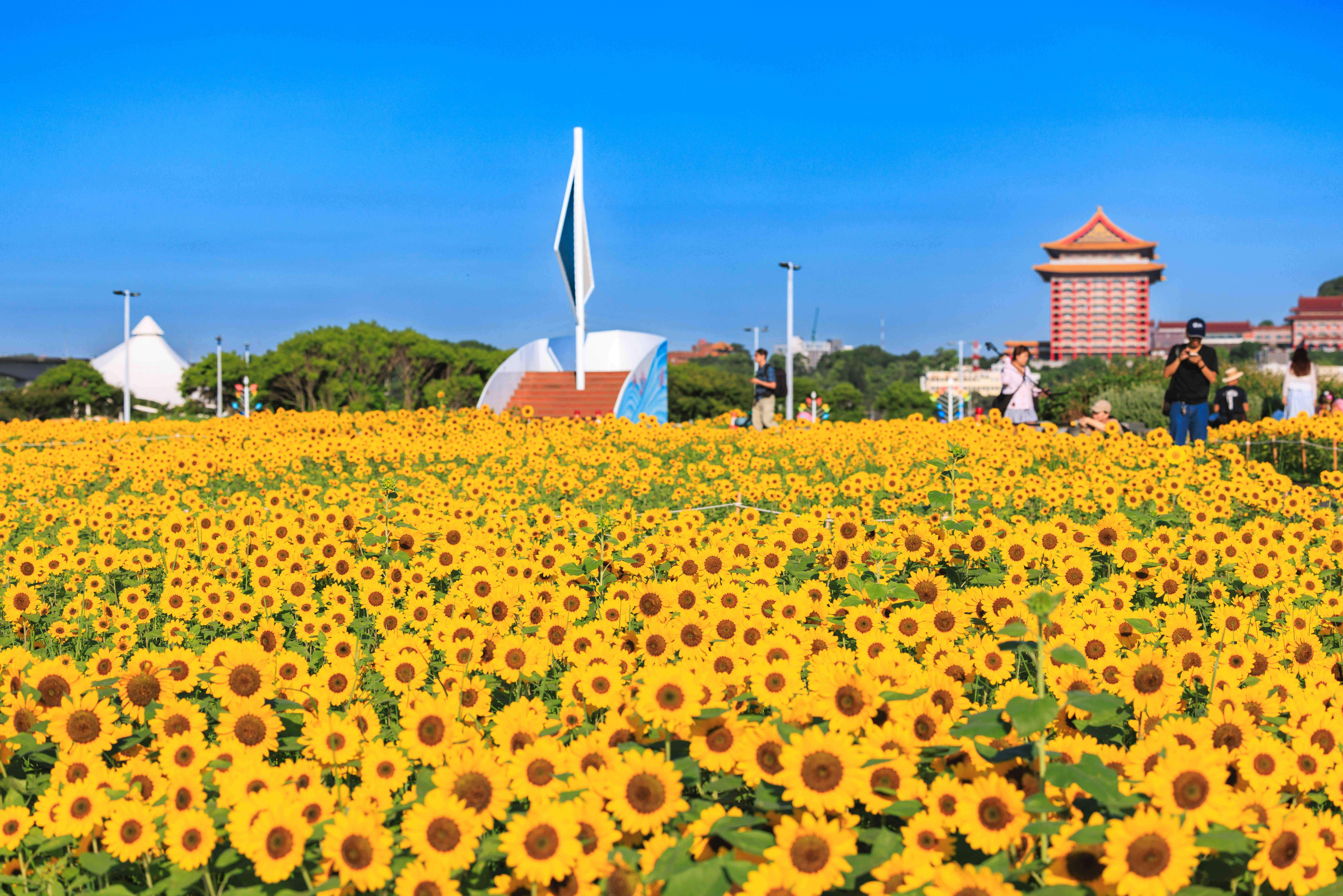 這次花海主題為「穿梭花海,航向幸福」,因此設有「船型眺望台」(圖片來源：臺北市政府工務局大地工程處)