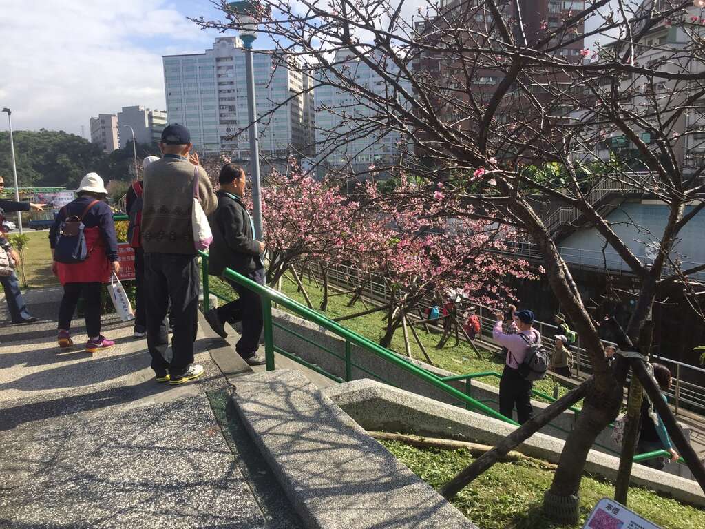 圖3、106年遊客於樂活公園賞花