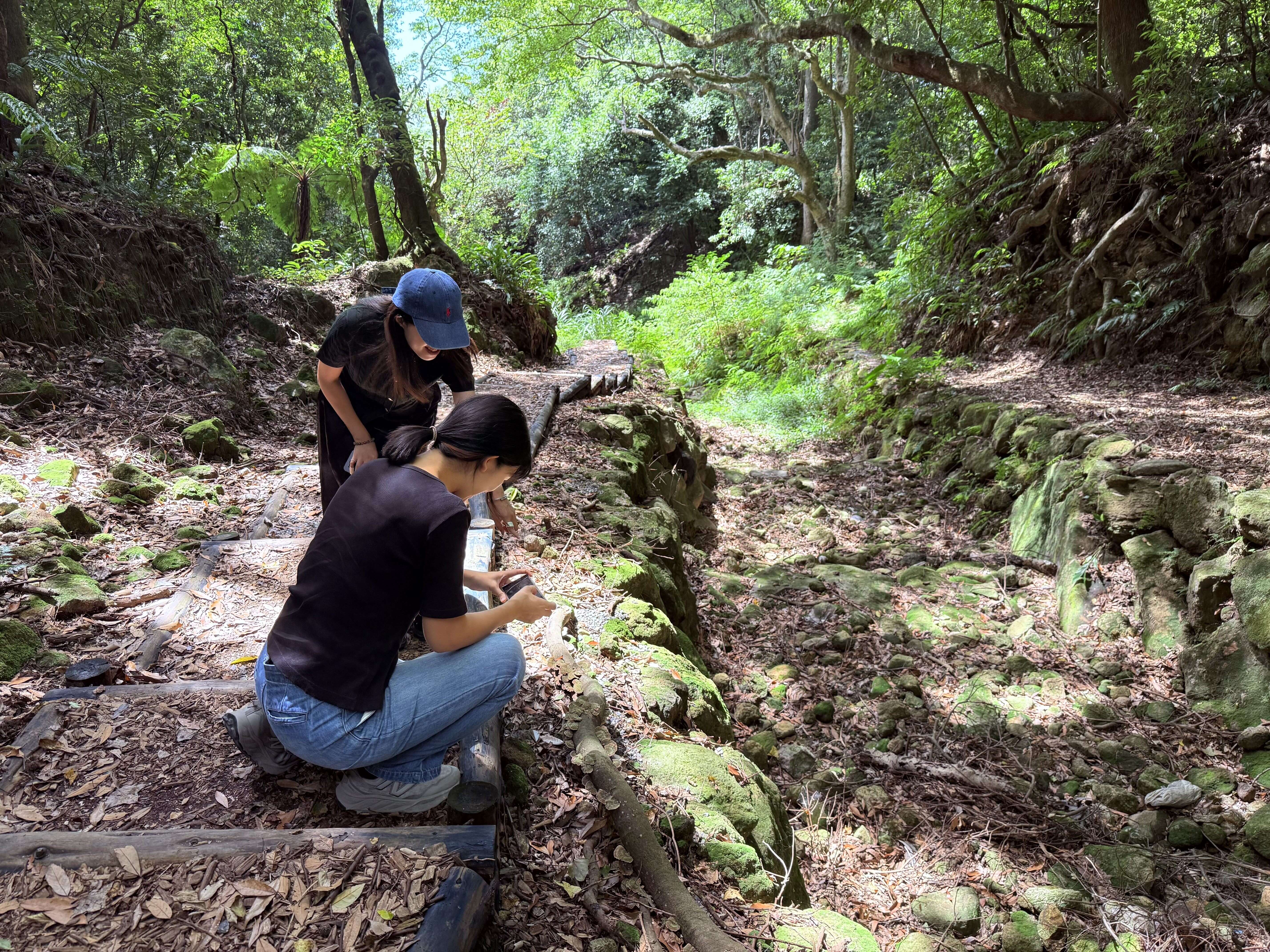 步道生態豐富（圖片來源：臺北市政府工務局大地工程處）