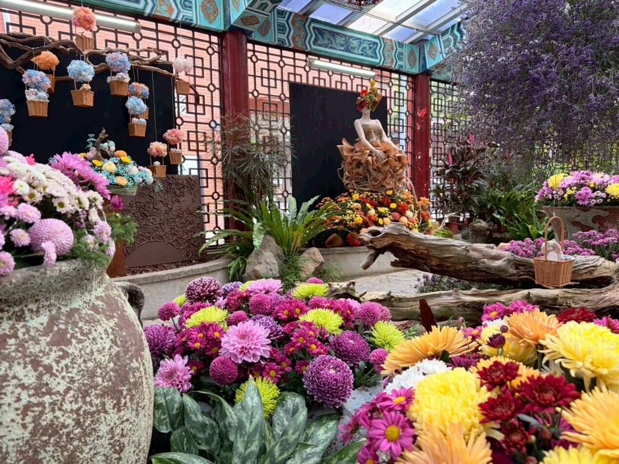 以各式染色菊、蜘蛛菊、永生花「花艺礼服」带您「环游世界」五大洲（图片来源：台北市政府工务局公园路灯工程管理处）