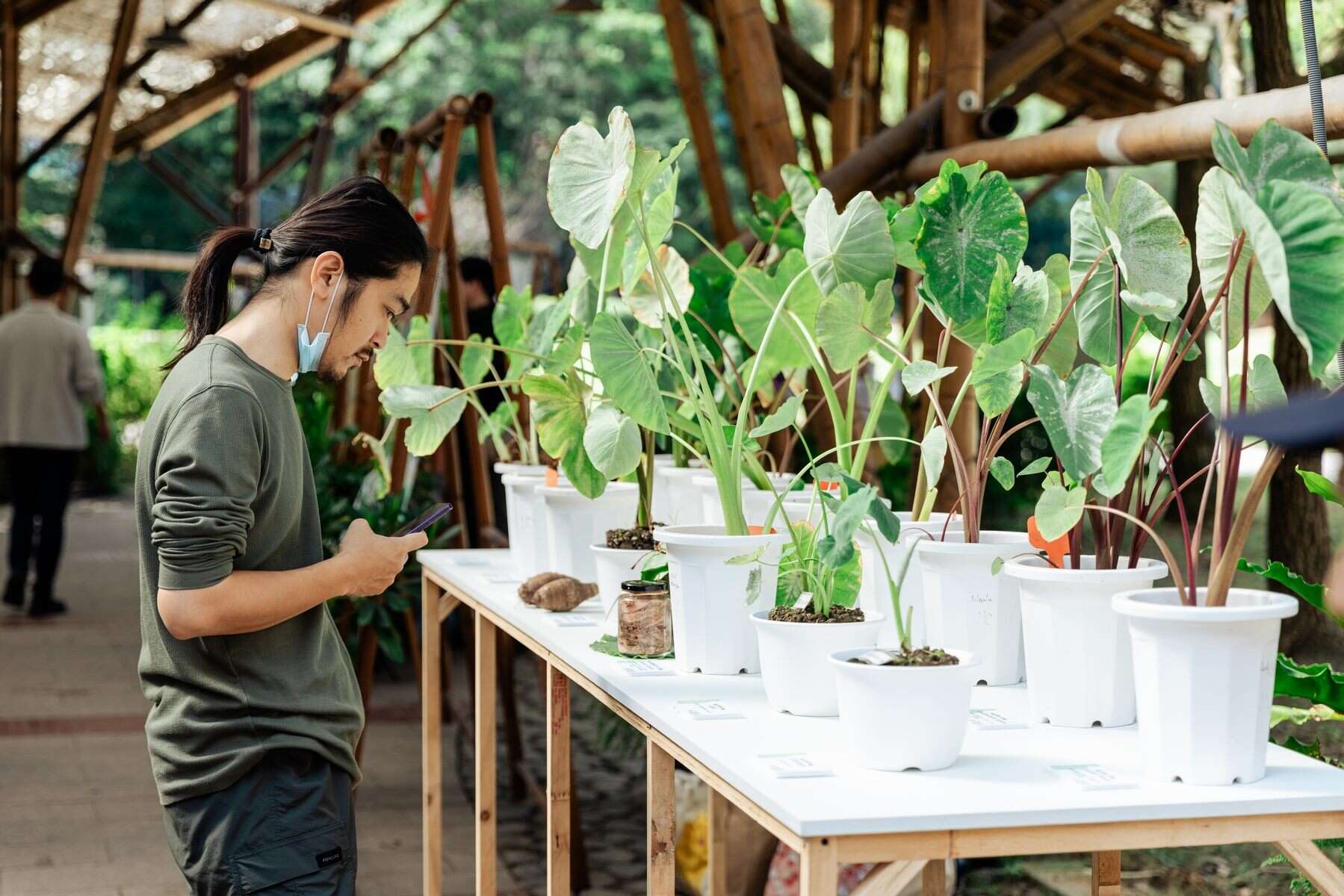 2025种子生活节-现场的各种植物（图片来源：台北市政府客家事务委员会）