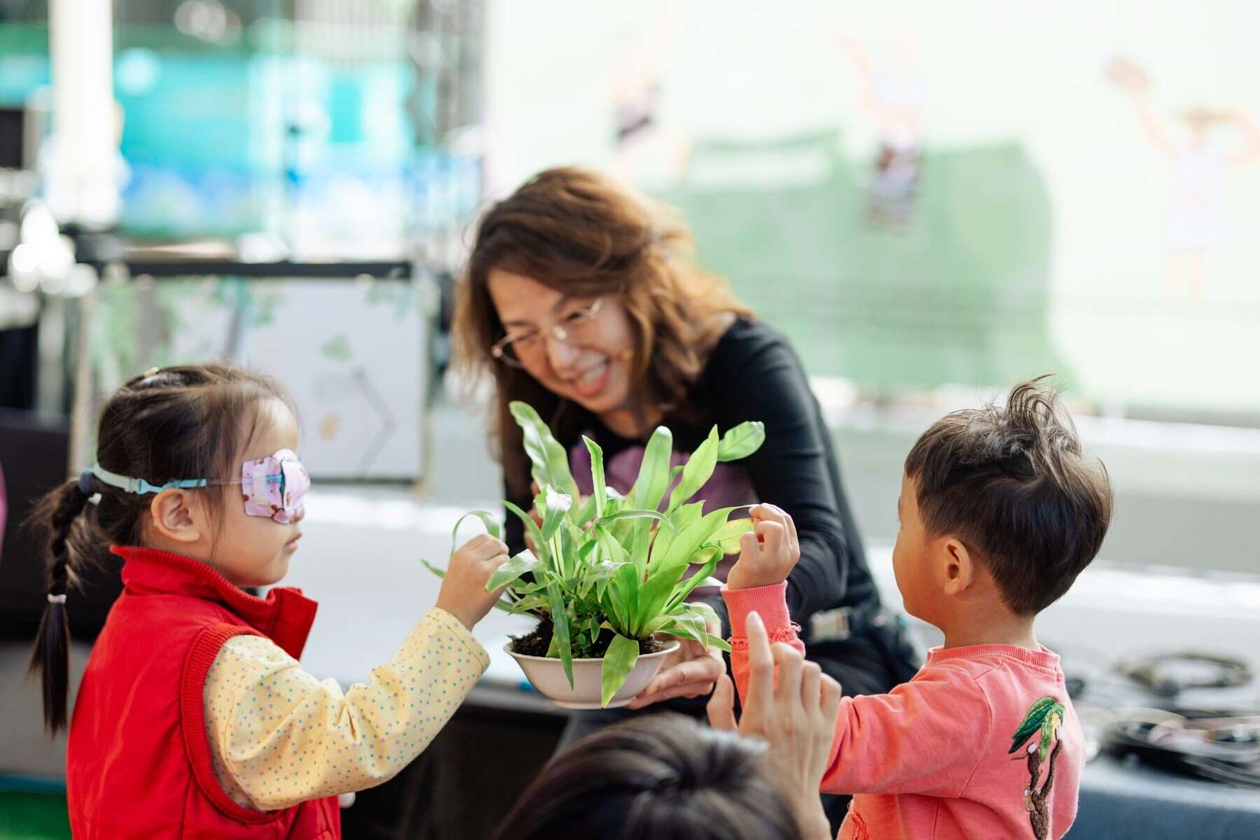 2025种子生活节-植物的触觉（图片来源：台北市政府客家事务委员会）