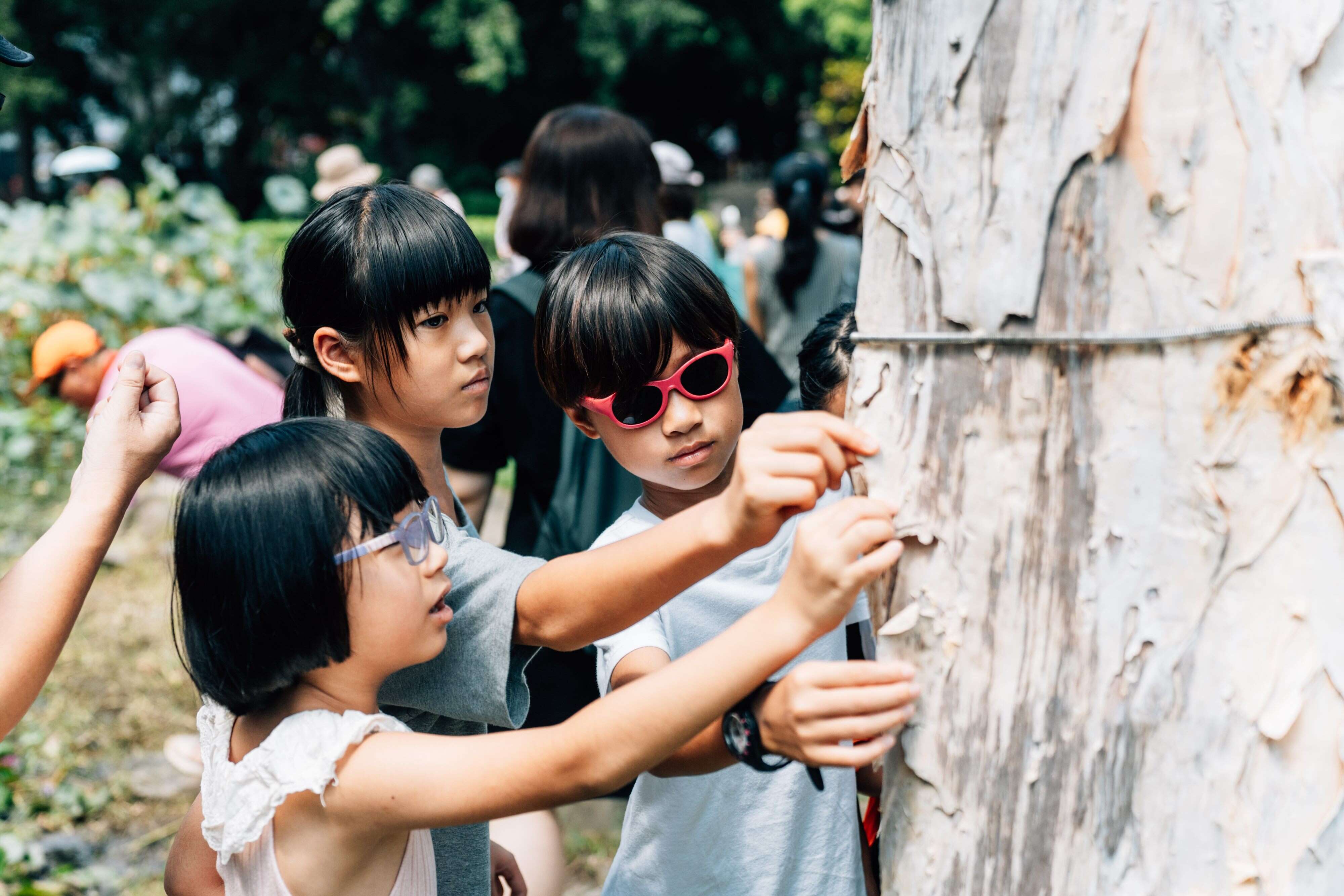 8月23日舉辦「城市裡的臉譜美樹課」工作坊 （圖片來源：臺北市政府文化局）