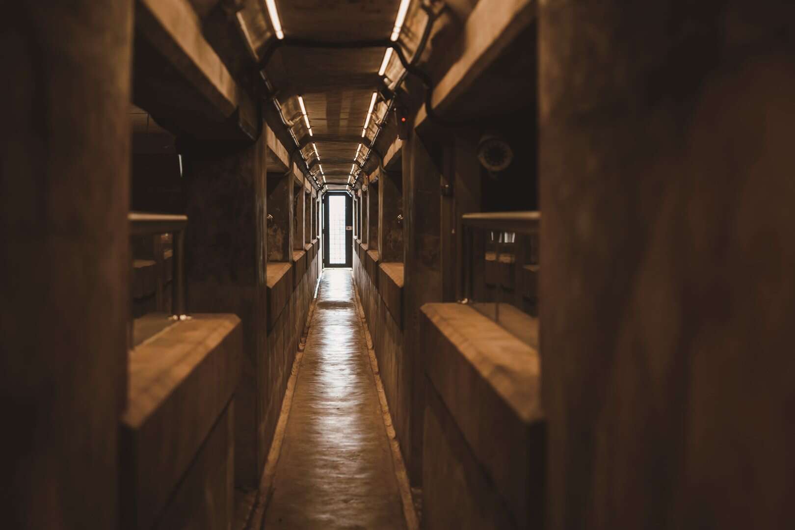 fs_P1_A7R03742