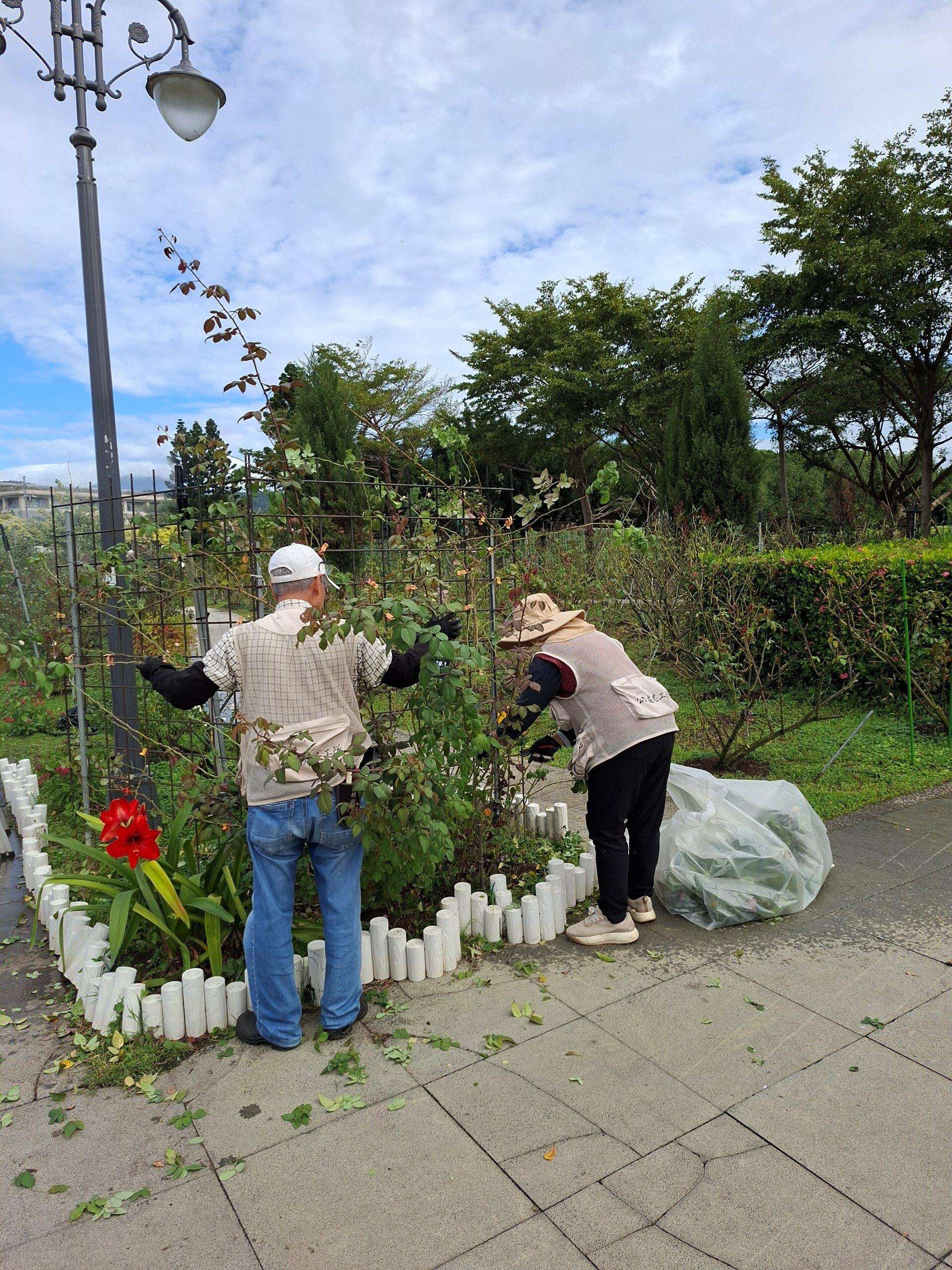 花海區志工修剪身影。（圖片來源：臺北市政府工務局公園路燈工程管理處）