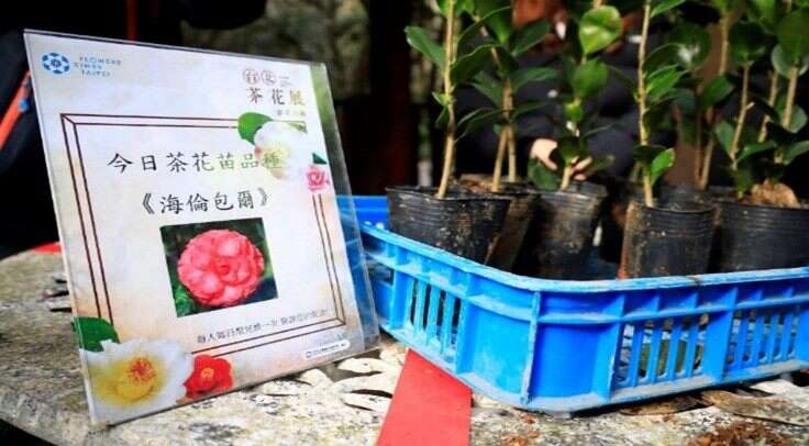 （圖片來源：臺北市政府工務局公園路燈工程管理處）