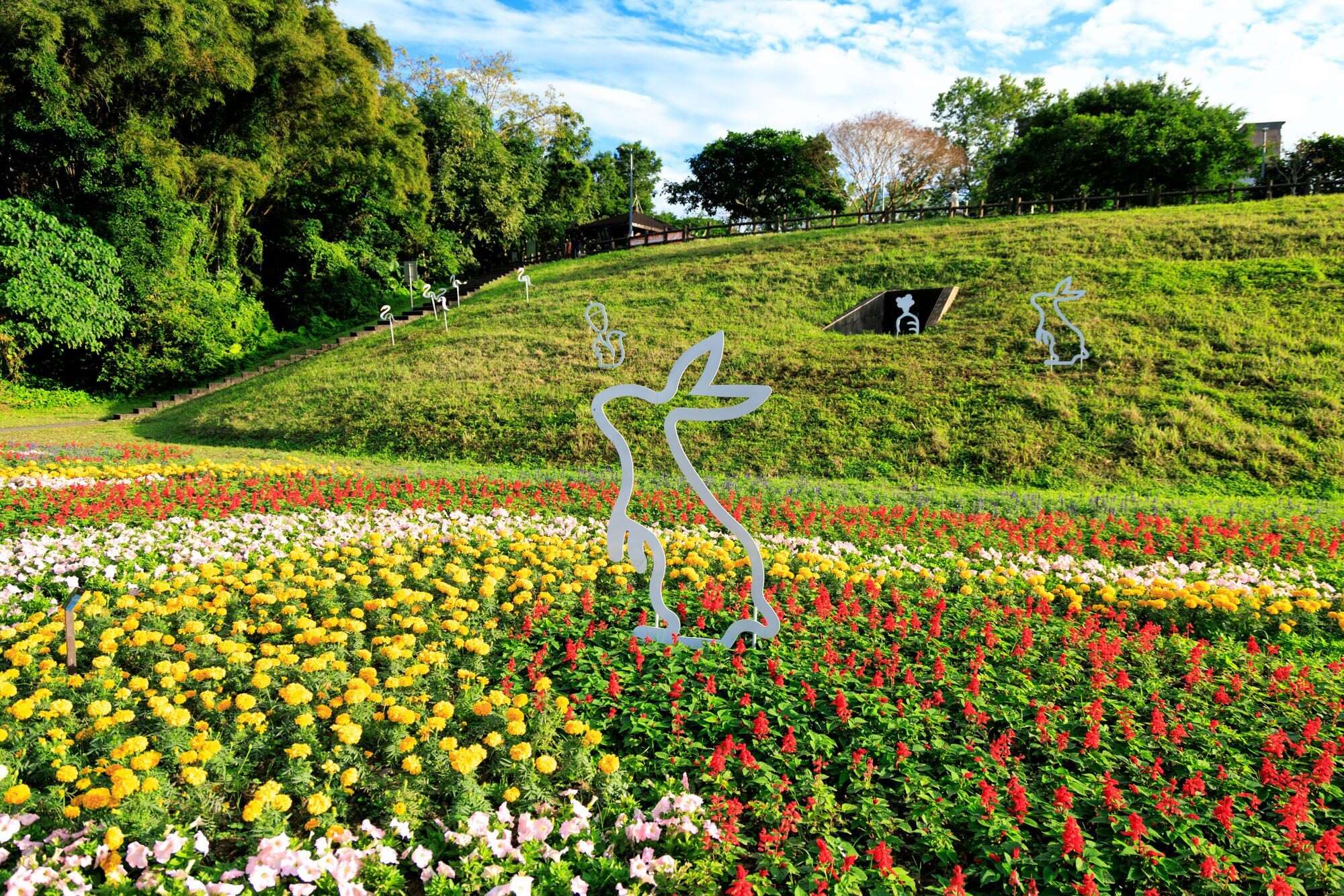 A Must-See This New Year’s Holiday: Sea of Flowers in Spectacular Bloom at Dagouxi Ecology and Water-Control Park