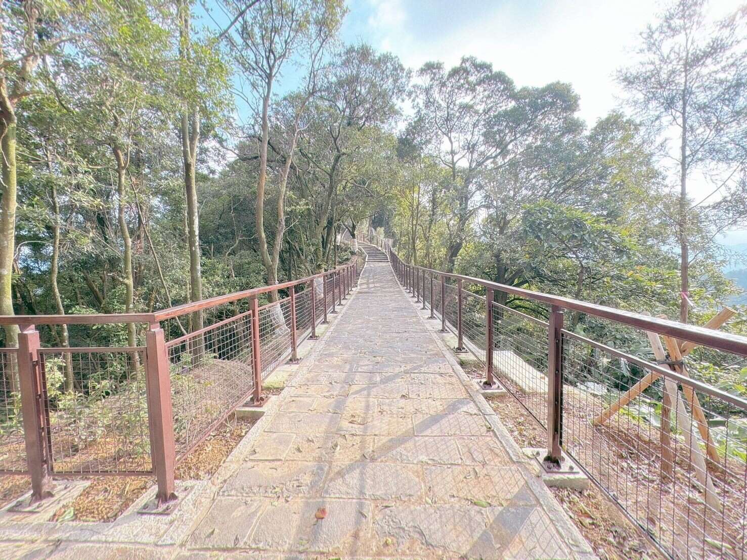 Come to see the new look of Nangang Tea Mountain.