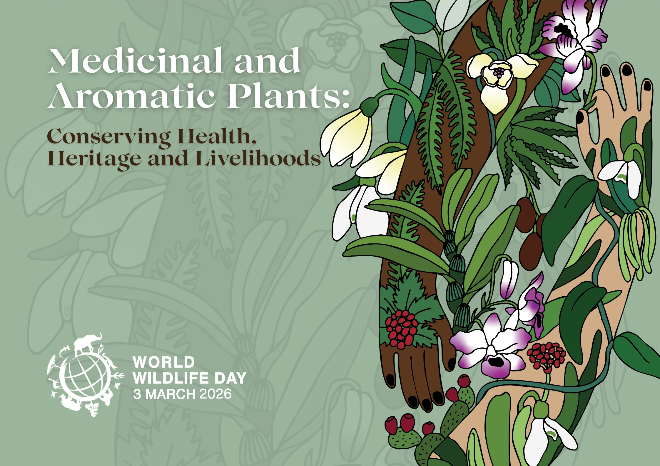 2026世界野生动植物日主题海报，呼应今年药用与芳香植物的主题（Ms Hannah Payet设计）（图片来源：台北市立动物园）