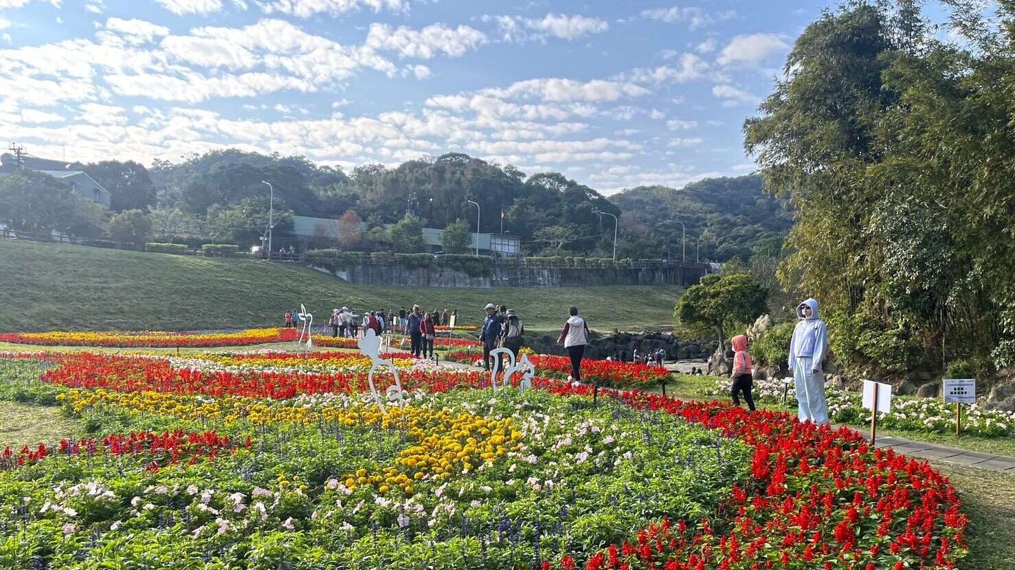Taipei City's Riverside Blooms in Celebration of Spring Happy Chinese New Year of the Horse