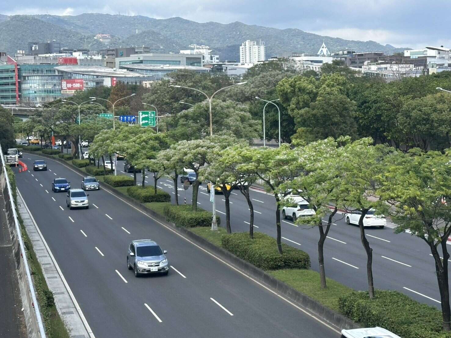 想看最療癒的「紫海」，絕對不能錯過內湖堤頂大道！（圖片來源：臺北市政府工務局公園路燈工程管理處）