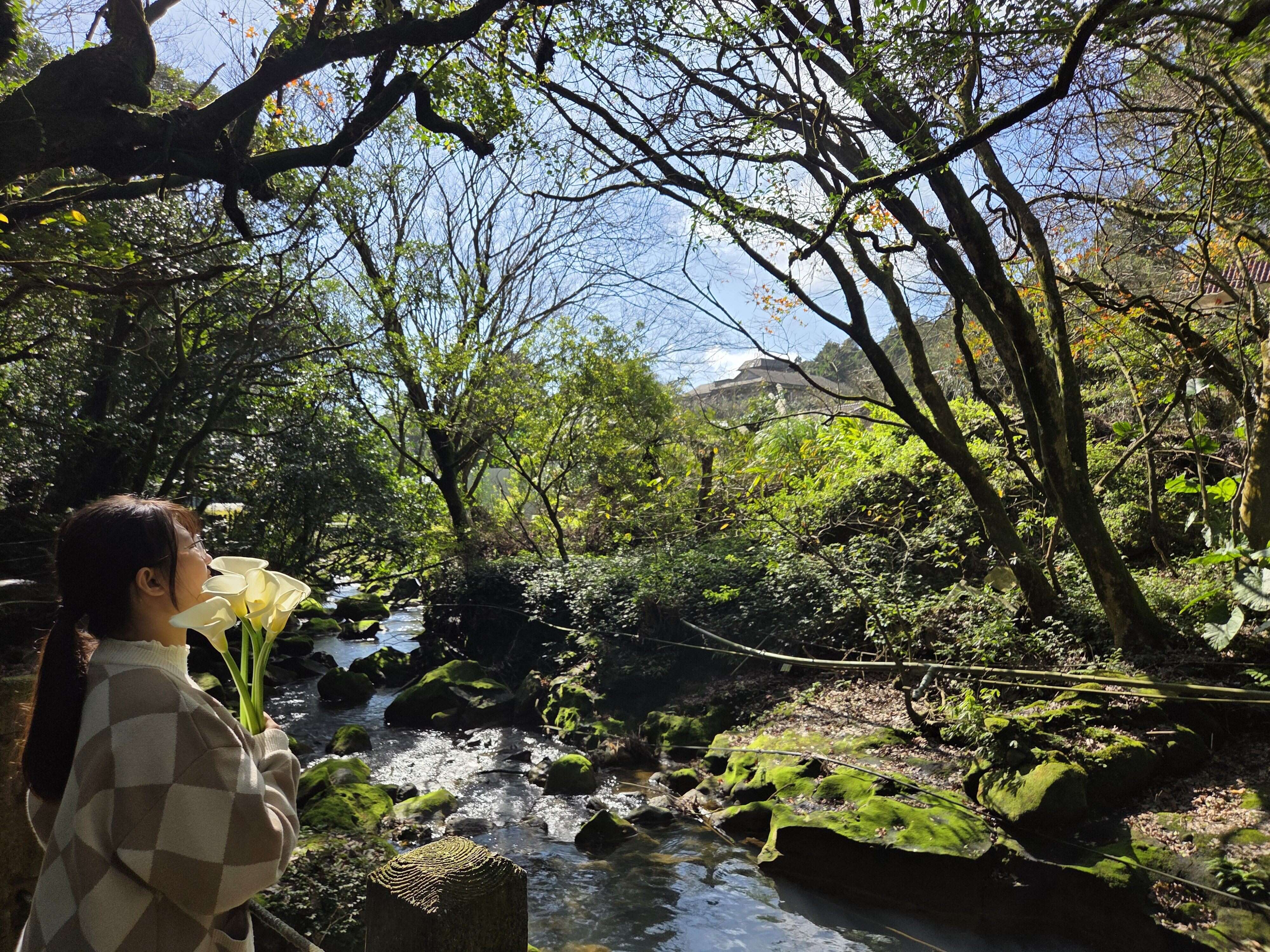 （圖片來源：臺北市政府工務局大地工程處）