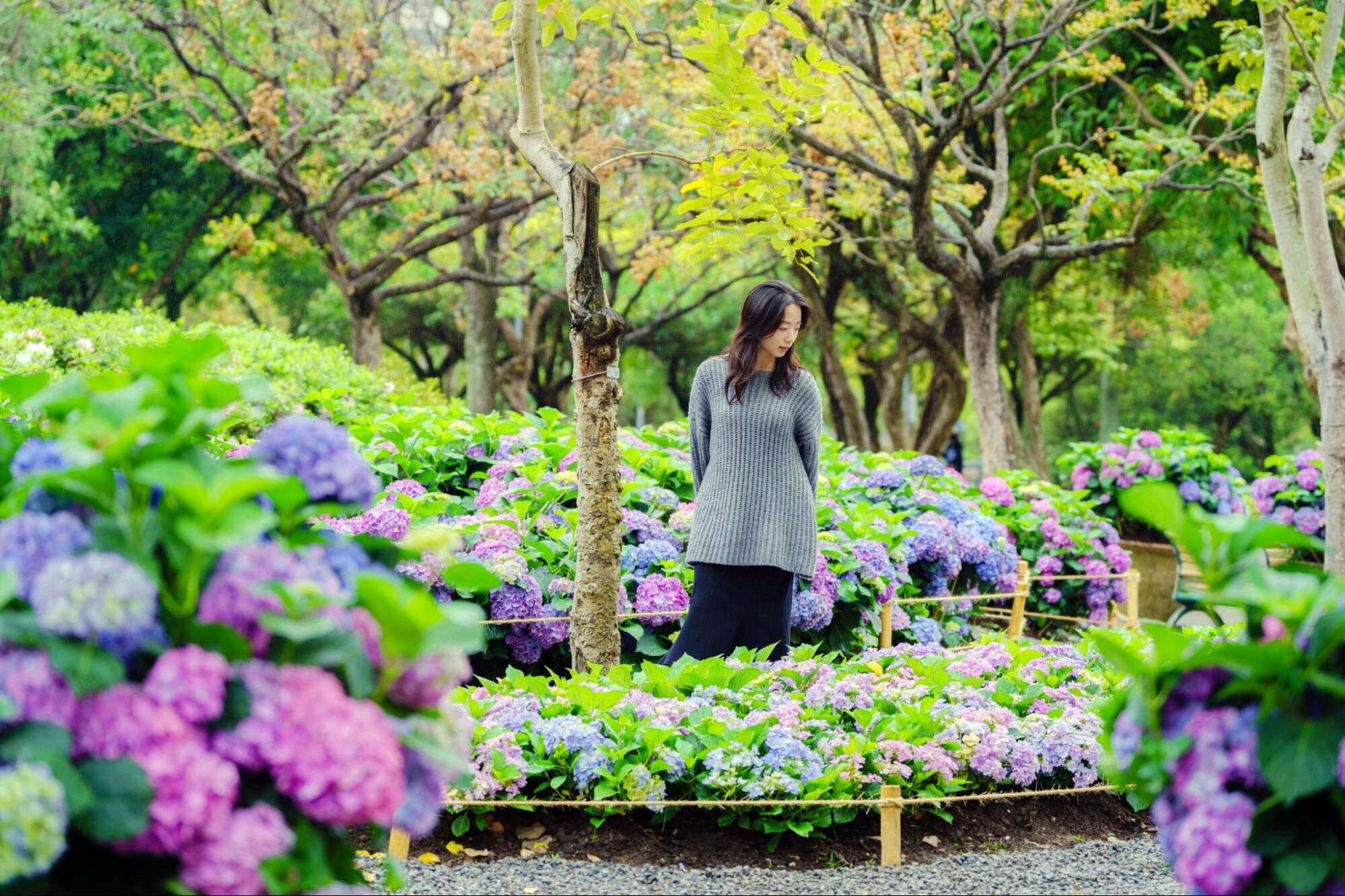 拍下大安森林公園中的任意動植物，並上傳指定貼文，即可享有抽獎資格，各種人氣選品等你帶回家。（圖片來源：臺北市政府工務局公園路燈工程管理處）