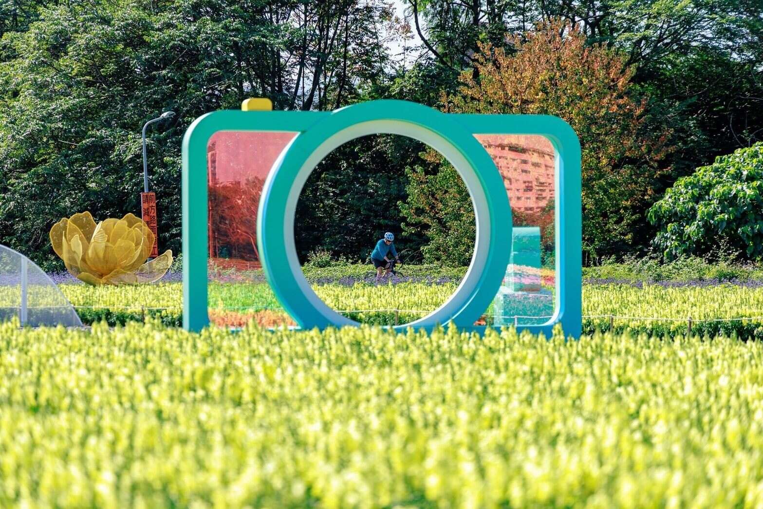 240,000 Flowers Bloom into a Stunning Sea of Flowers at Guting Riverside Park, Taipei’s Own “Provence.”