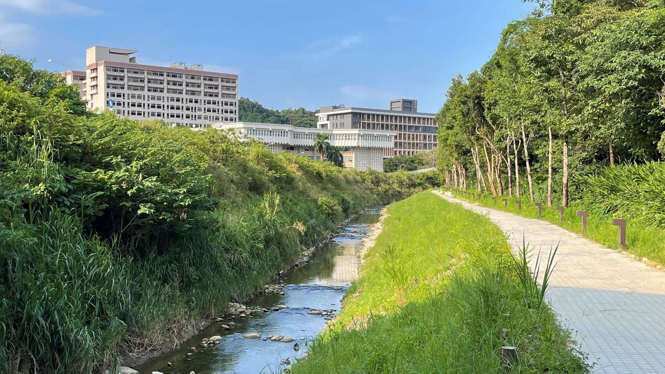 From “Concrete Ditch” to “Ecological Corridor”: One Year After the Zhinan River Bank Restoration Project, Results Shine as the Endangered Yellow-margined Box Turtle Reappears