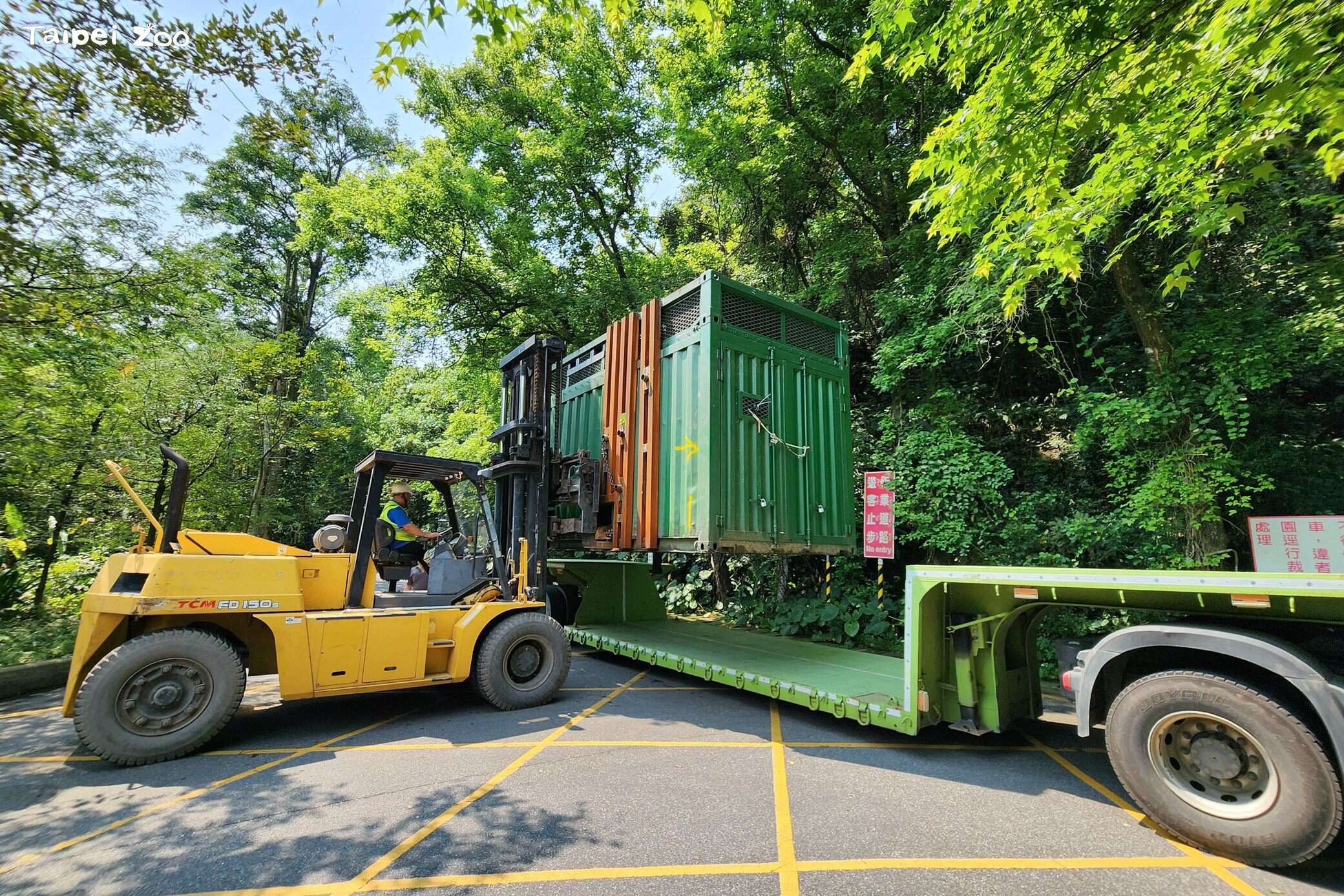 載著大象的貨櫃吊起後再由堆高機移動至低底盤拖車，以便前往非洲動物區。（圖片來源：臺北市立動物園）