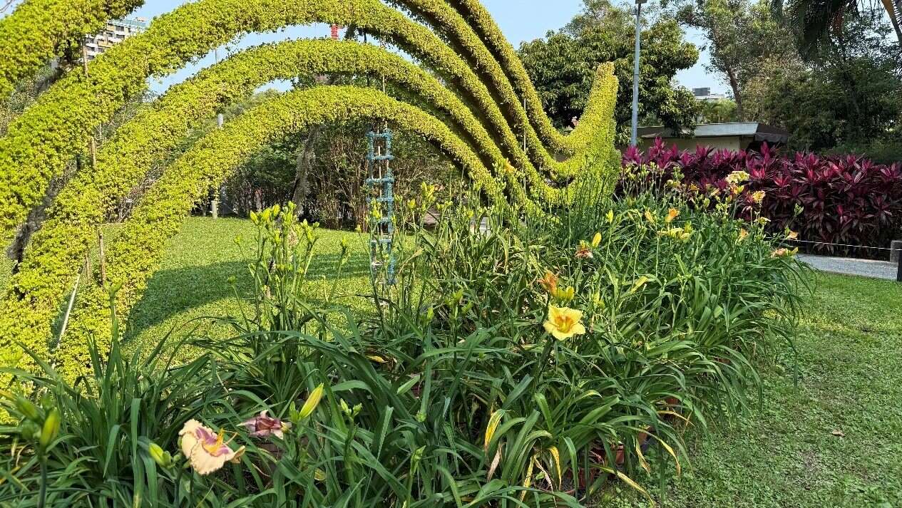 Taipei's Daylilies Like You've Never Seen Them: Ch