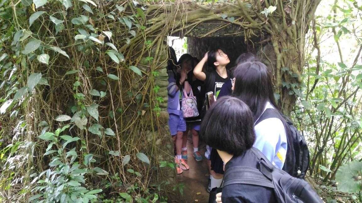 已被藤蔓與樹枝包圍歷史遺跡，形成了許多小動物們的天然屏障。(取自110年度臺北市101環教路線暨教案工作坊成果集)（富陽烈烈，螢火燦燦）（圖片來源：臺北市政府教育局）