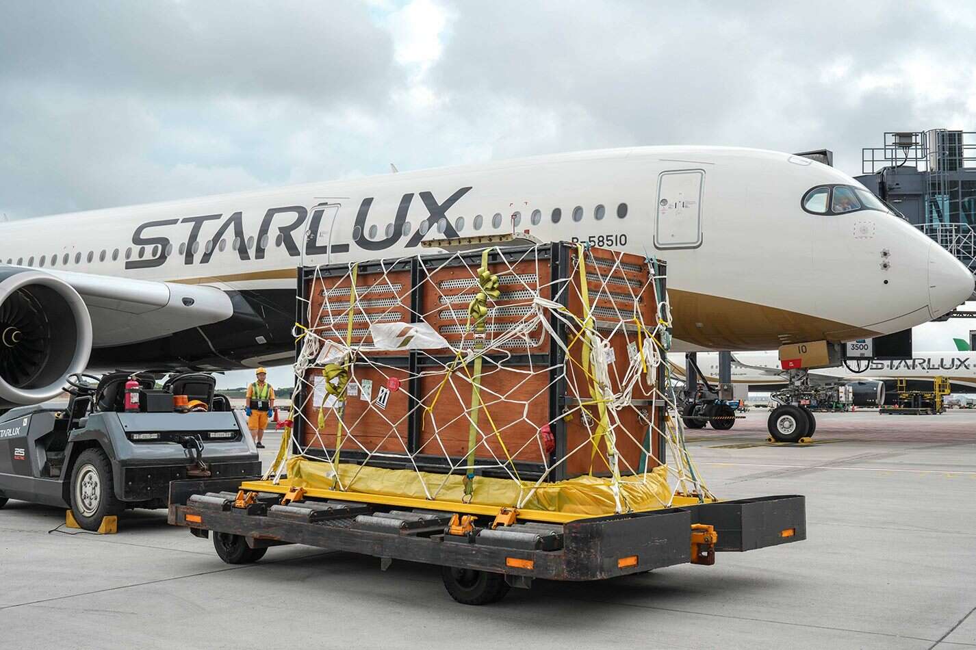 马来貘莉姆路5月8日上午搭乘星宇航空前往新加坡（图片来源：星宇航空）