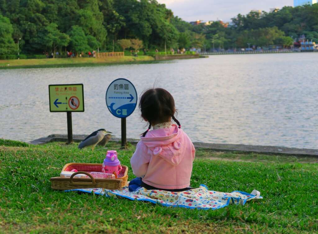 图8.湖边赏湖野餐好惬意，还有夜鹭相伴。