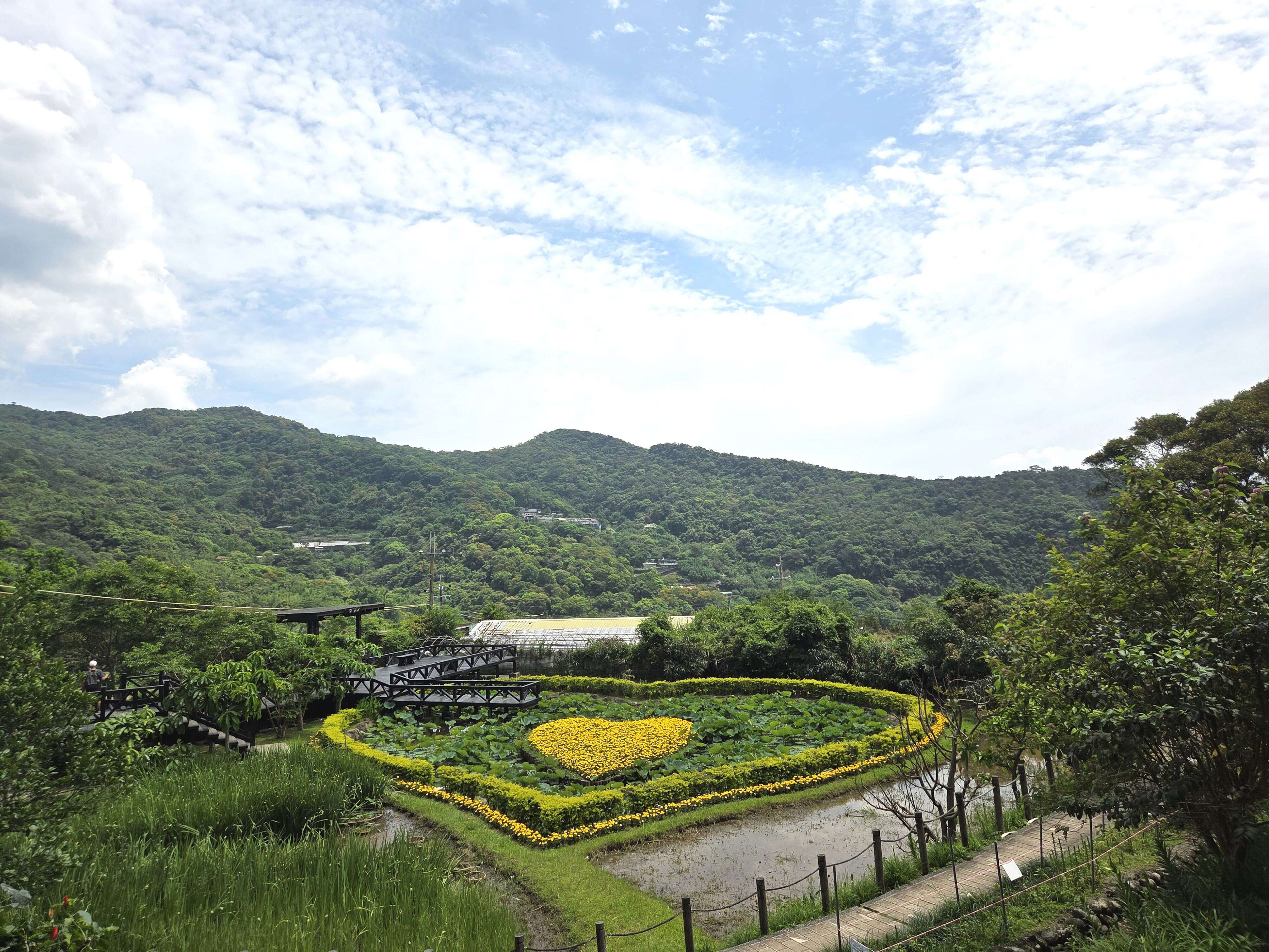 同心池-遠拍（圖片來源：臺北市政府工務局大地工程處）