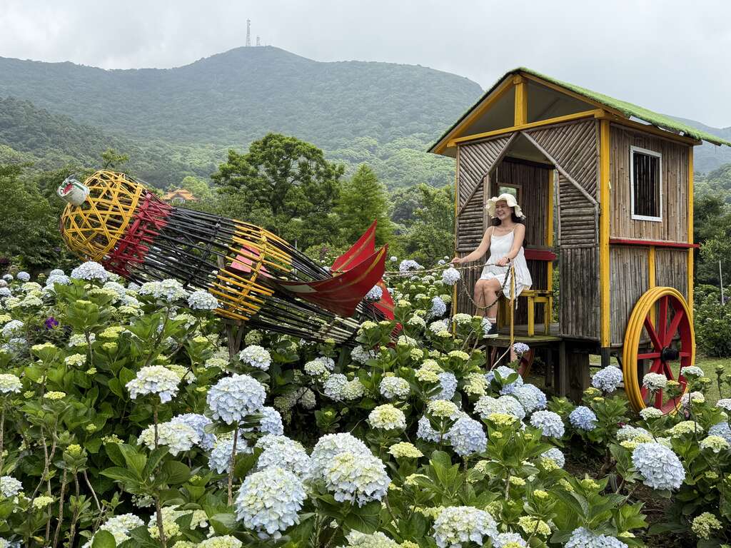 繡球花地景藝術（圖片來源：臺北市政府產業發展局）