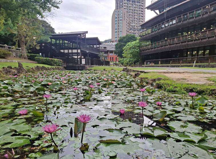 宛如臺灣地形形狀之睡蓮池（圖片來源：臺北市政府工務局公園路燈工程管理處）