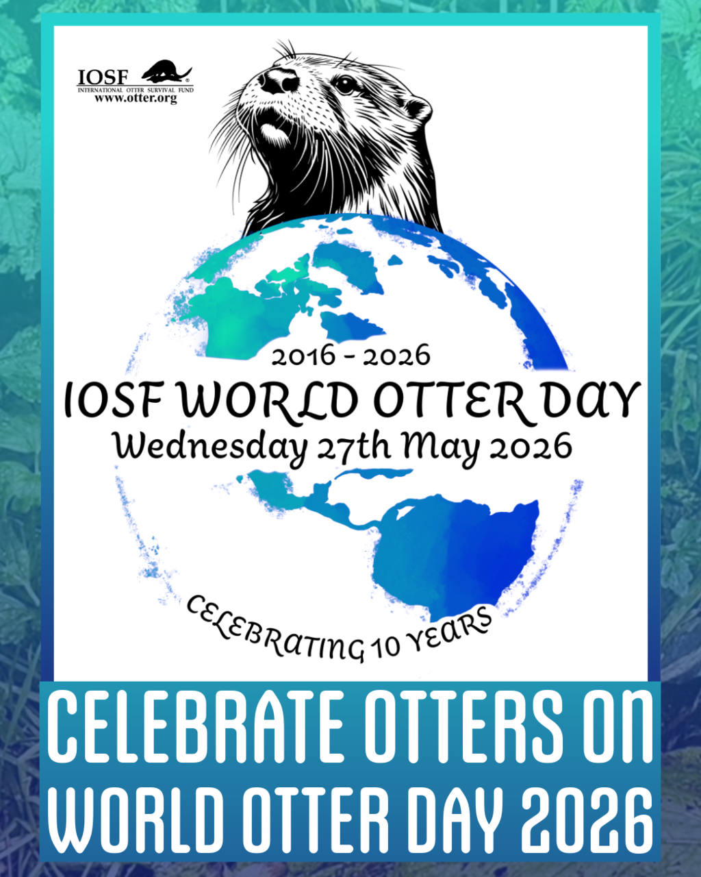世界水獺日World Otter Day（圖片來源International Otter Survival Fund）（圖片來源：臺北市立動物園）