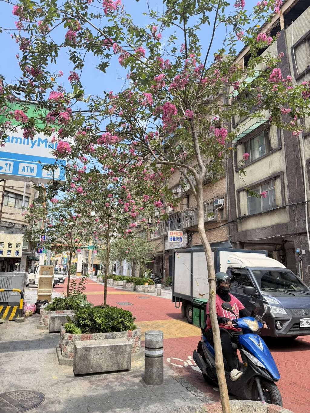 貴陽街紫薇搭配矮仙丹複層式花臺（圖片來源：臺北市政府工務局公園路燈工程管理處）