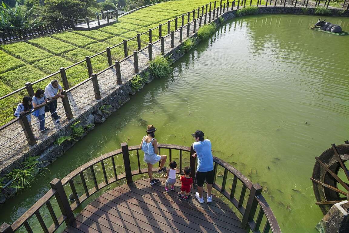 樟樹步道明鏡池（圖片來源：臺北市政府工務局大地工程處）