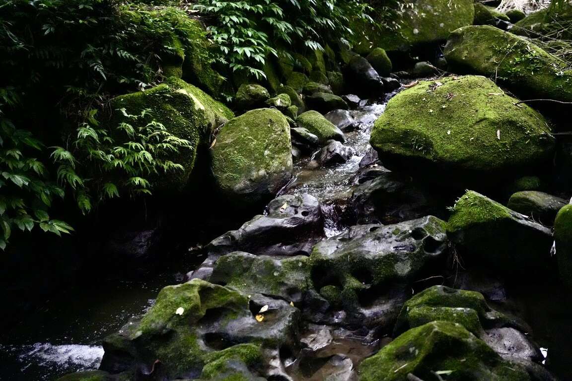 凹凸不平的壺穴景觀（圖片來源：臺北市政府工務局大地工程處）