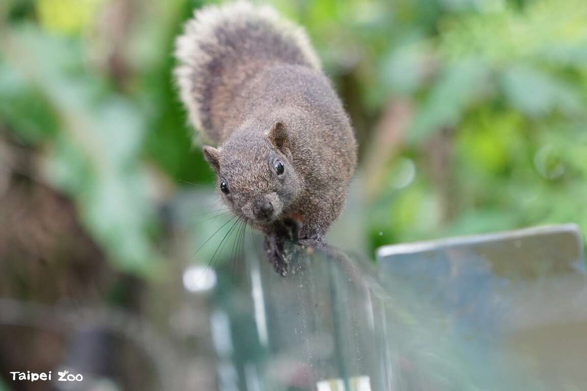 International Day for Biological Diversity: Urban