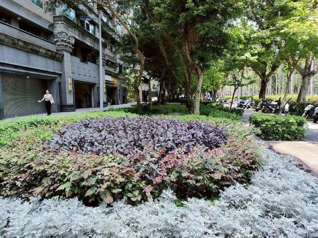 仁愛路四段的人行環境以榕樹做為街道綠化的主體,沿線規劃植栽路樹及多種多樣的地被植物（圖片來源：臺北市政府工務局公園路燈工程管理處）