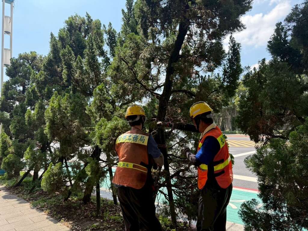 公園處加強立支柱,積極做好防災整備（圖片來源：臺北市政府工務局公園路燈工程管理處）