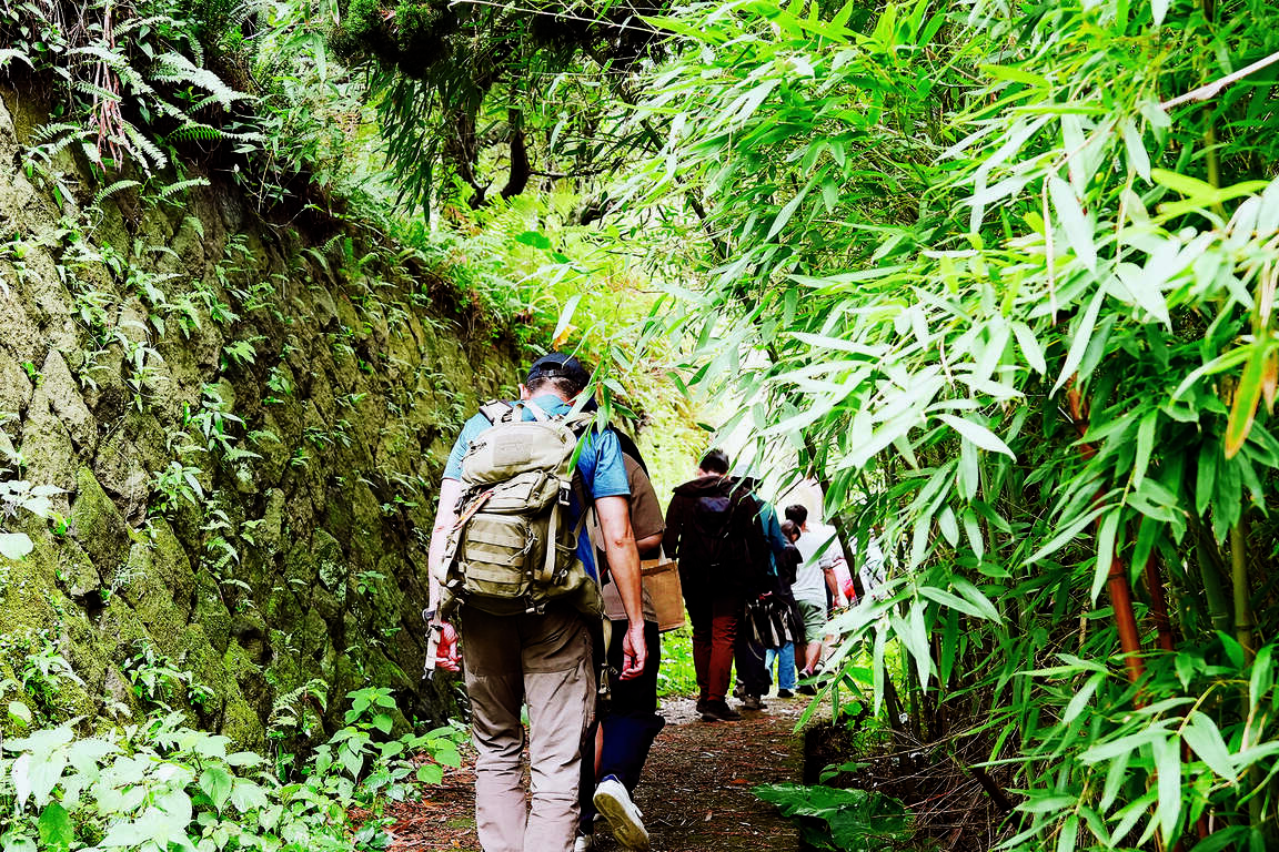 阳明山艺术季带领民众走进山林与社区，探索山城中的风土与记忆。
