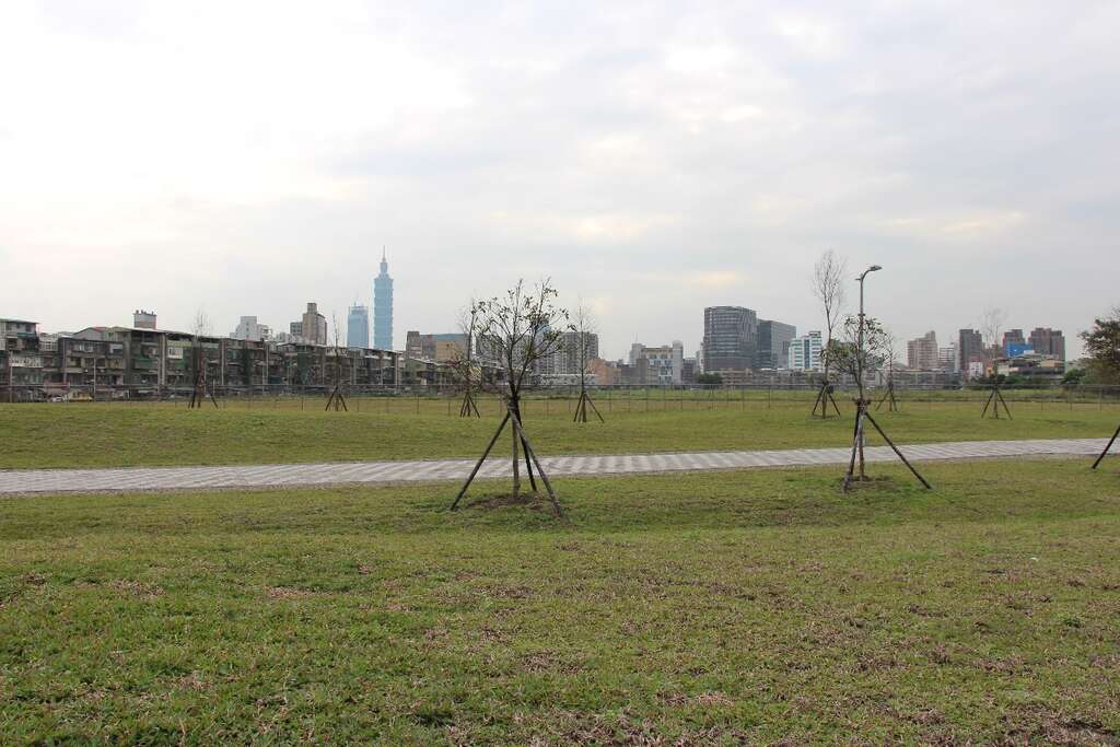 图1-南港62公园简易绿美化完成