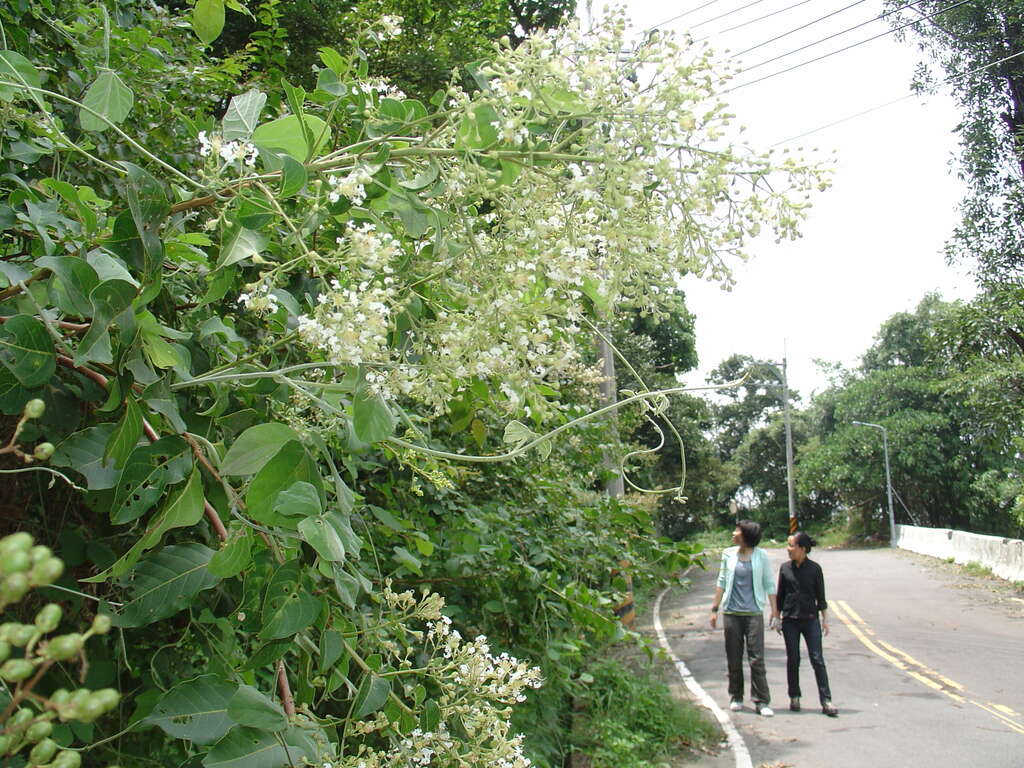士林区公所325邀您亲山净山健身环保行！