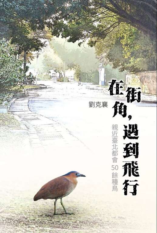 Taipei Avian Touring On City Corners<br> – The Beauty of Birdsong