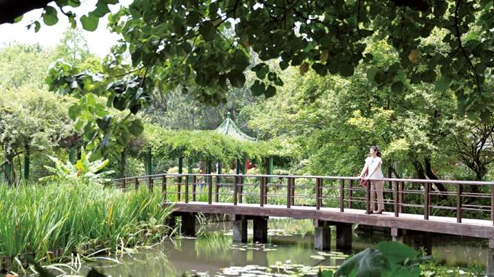 TAIPEI WINTER 2016 Vol.06 A Time/Space Oasis –Taipei Botanical Garden