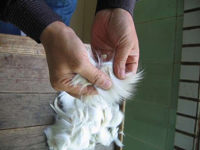 TAIPEI WINTER 2016 Vol.06 Traditional Crafts – Writing a New Page in Taiwan’s Memory